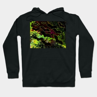 Bats In Flight Neon Hoodie